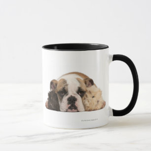 Englischer Bulldoggenwelpe (4 Monate alte) und Tasse