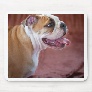 Englischer Bulldoggenwelpe Mousepad