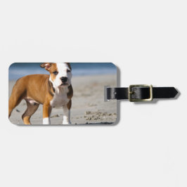 englischer Bulldoghund am Strand Gepäckanhänger