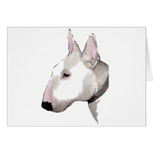 Englischer Bullterrier