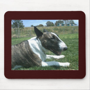 Englischer Bullterrier Mousepad