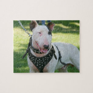 Englischer Bullterrier Puzzle
