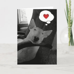 englischer Bullterrier-Valentinsgruß Feiertagskarte