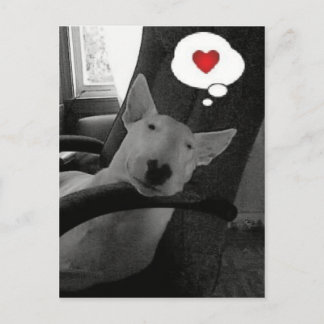 englischer Bullterrier-Valentinsgruß Feiertagspostkarte