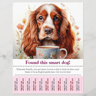 Englischer Cocker Spaniel Fundzettel gefunden Flyer