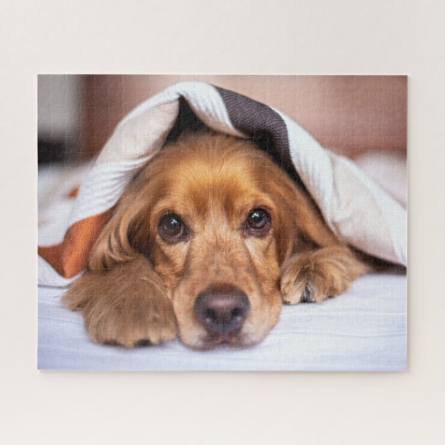 Englischer Cocker Spanier Hund Puzzle (Horizontal)