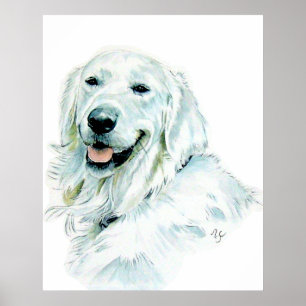 Englischer golden retriever-Druck Poster