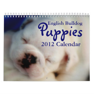 Englischer Kalender der Bulldoggen-Welpen-2012