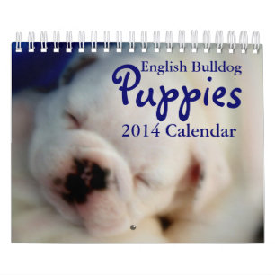 Englischer Kalender der Bulldoggen-Welpen-2014