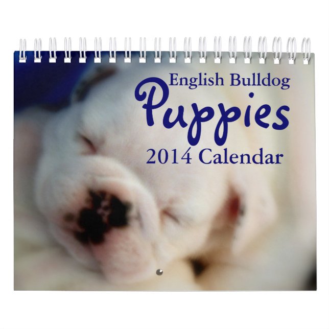 Englischer Kalender der Bulldoggen-Welpen-2014 (Titelbild)