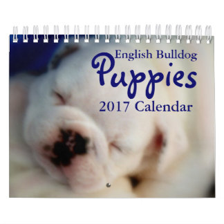 Englischer Kalender der Bulldoggen-Welpen-2017