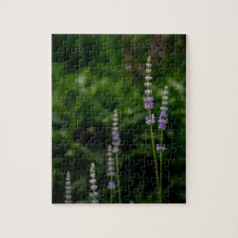 Englischer Lavendel Puzzle