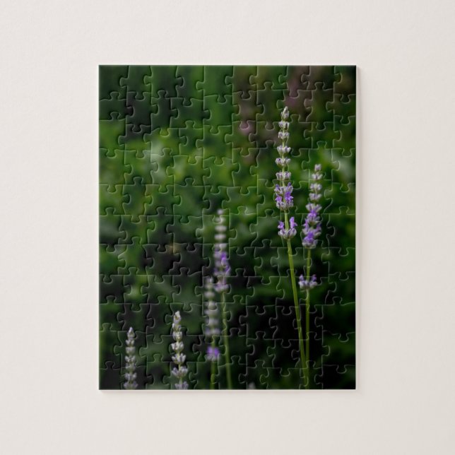 Englischer Lavendel Puzzle (Vertikal)