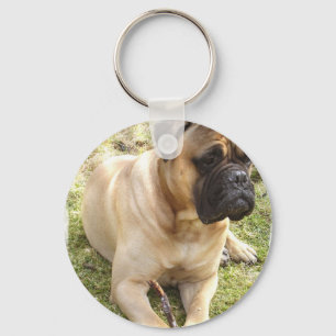 Englischer Mastiff-Schlüsselanhänger Schlüsselanhänger