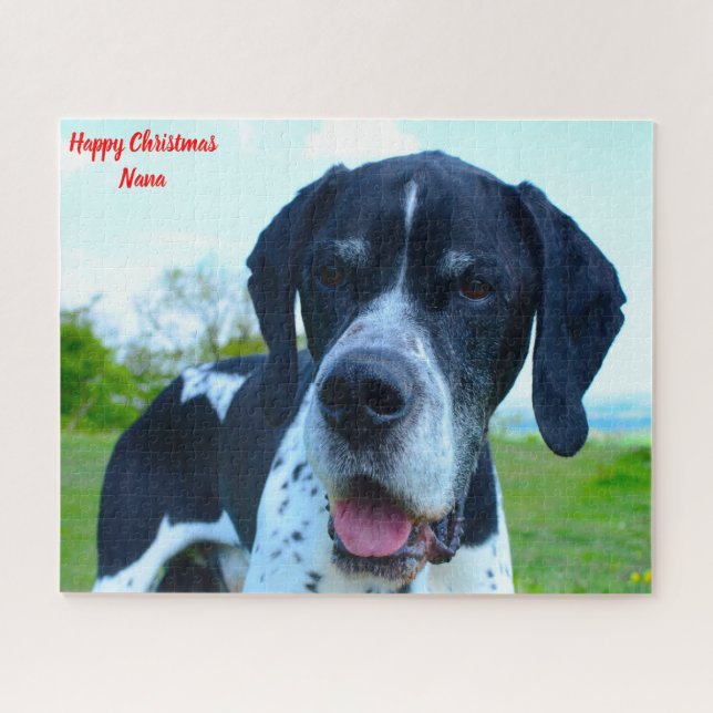 Englischer Pointer Dog. Puzzle (Horizontal)