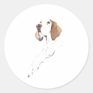 Englischer Pointer Hund Aufkleber