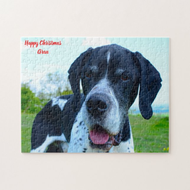 Englischer Pointer Hund. Puzzle (Horizontal)