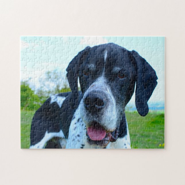 Englischer Pointer Hund. Puzzle (Horizontal)