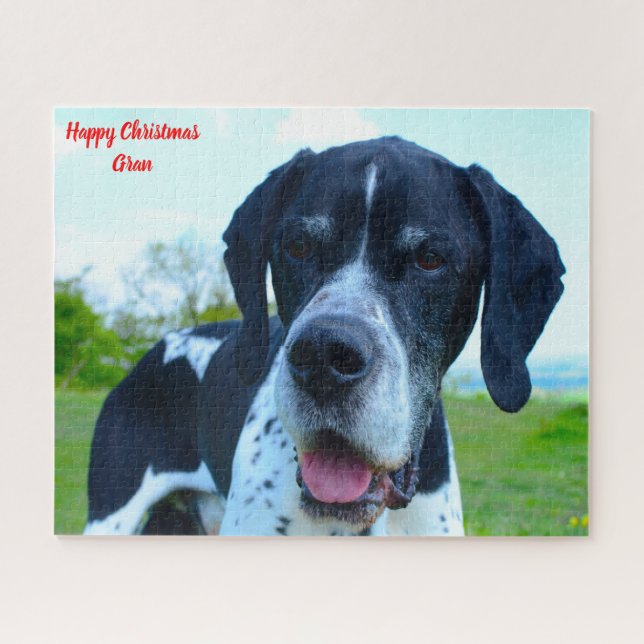 Englischer Pointer Hund. Puzzle (Horizontal)