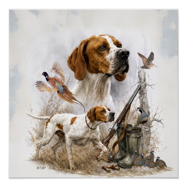 Englischer Pointer   Poster (Vorderseite)
