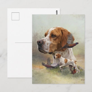 Englischer Pointer Postkarte