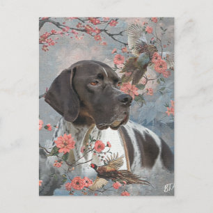 Englischer Pointer Postkarte