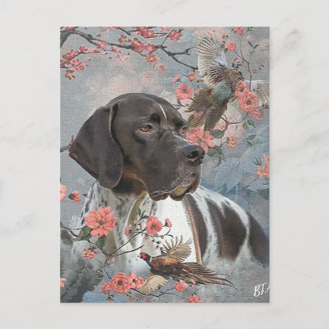 Englischer Pointer  Postkarte (Vorderseite)