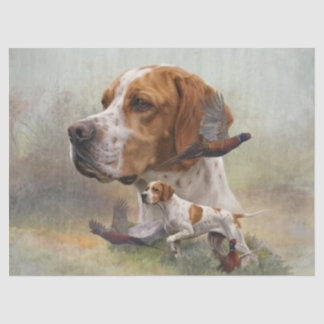 Englischer Pointer Seidenpapier