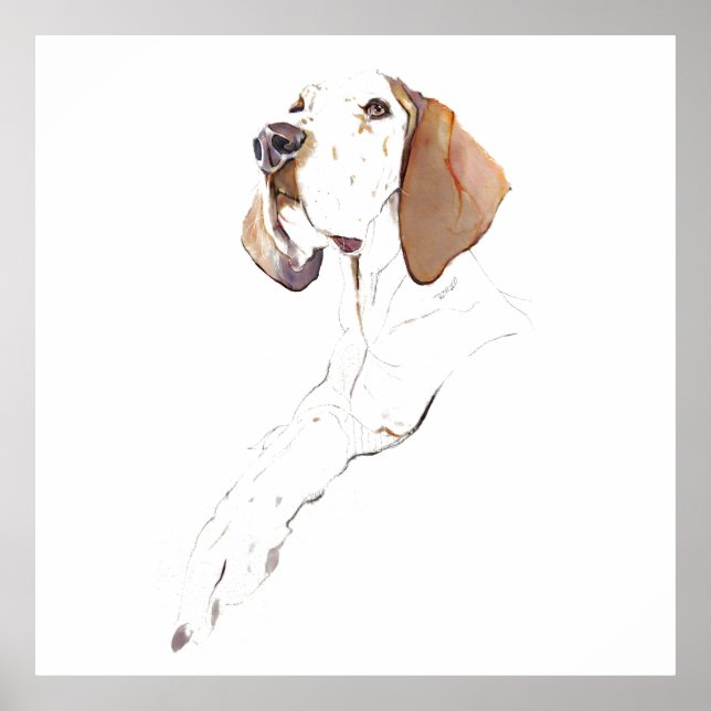 Englischer Pointer Wandkunst Poster, Hunde Kunst D Poster (Vorne)