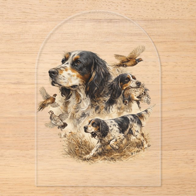 Englischer Setter  Acryleinladungen (Vorderseite)