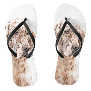 Englischer Setter Orange Belton Malerei Dog Art Flip Flops