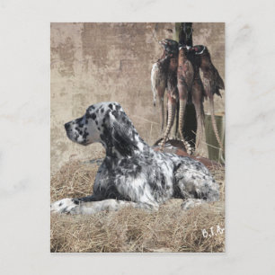 Englischer Setter, Pheasant Jägertester Poster Postkarte