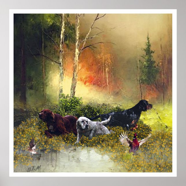 Englischer Setter, Vogeljagd Poster (Vorne)