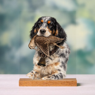 Englischer Setter, Waldschnepfenjagd, Hundekunst Acrylschild