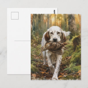 Englischer Setter, Waldschnepfenjagd Postkarte