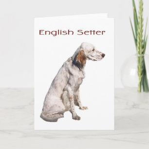 Englischer Setzer Karte