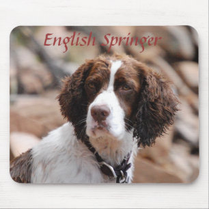Englischer Springer Mousepad