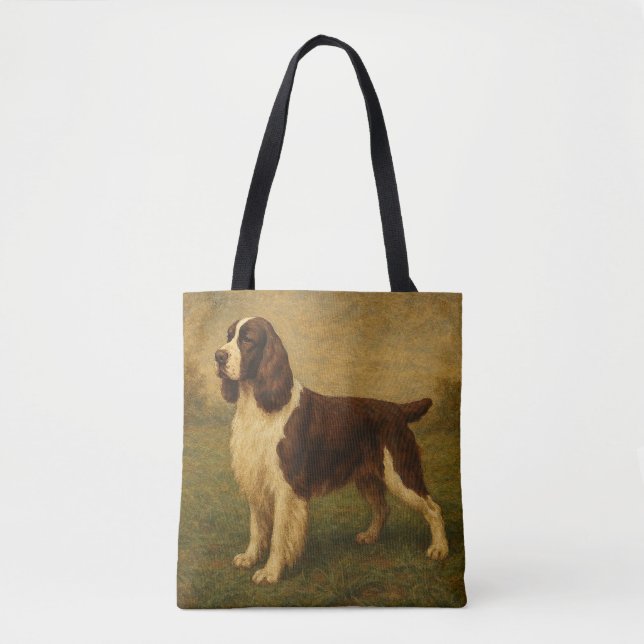 Englischer Springer Spaniel (Vorderseite)