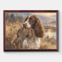 Englischer Springer Spaniel