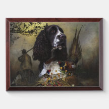 Englischer Springer Spaniel