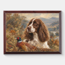 Englischer Springer Spaniel