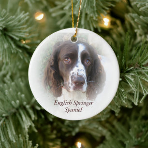 Englischer Springer Spaniel Hund Weihnachten Keramik Ornament