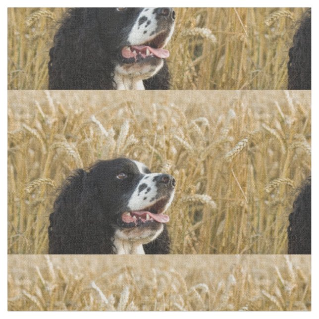 englischer Springer Spaniel in wheat.png Stoff (Nahaufnahme)