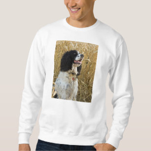 englischer Springer Spaniel in wheat.png Sweatshirt