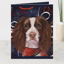 ENGLISCHER SPRINGER SPANIEL