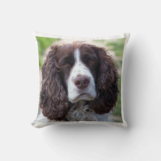 englischer Springer spaniel.png Kissen (Vorderseite)