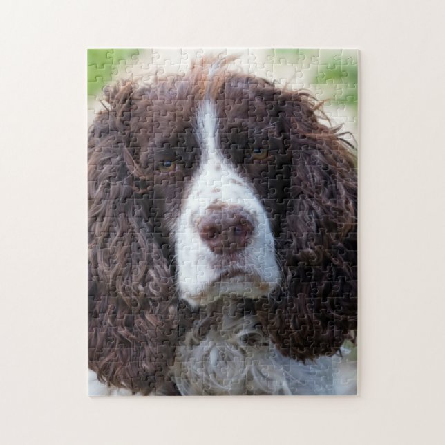 englischer Springer spaniel.png Puzzle (Vertikal)