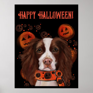 Englischer Springer Spaniel Poster