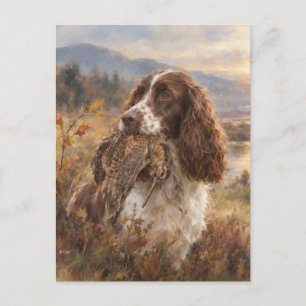 Englischer Springer Spaniel Postkarte