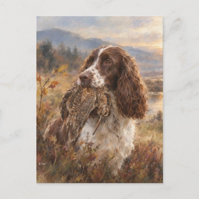 Englischer Springer Spaniel  Postkarte (Vorderseite)